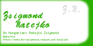 zsigmond matejko business card